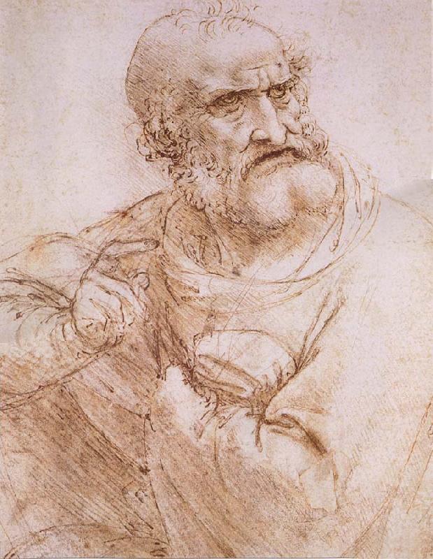 LEONARDO da Vinci Study of an apostle France oil painting art